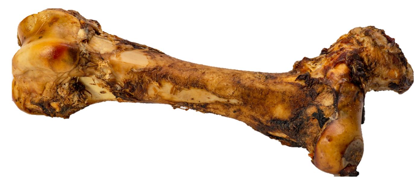 Butcher's Block Goliath Femur Bone Dog Treats, 12-14-in