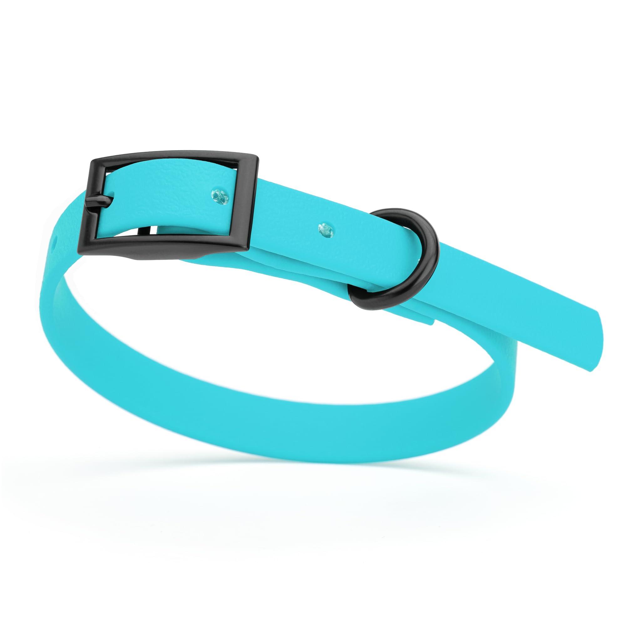 Dogline Biothane Waterproof Dog Collar, Sky Blue