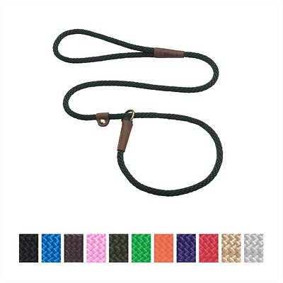 Mendota Pet Small Slip Solid Dog Leash, Hunter Green, 3/8-in x 4-ft