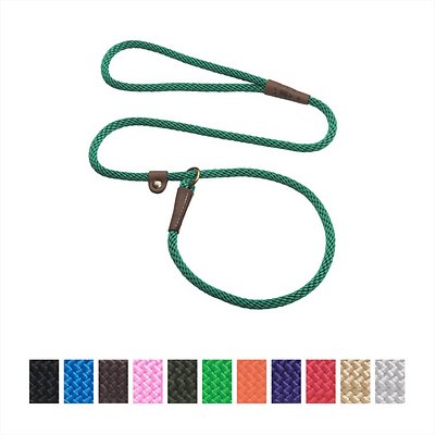 Mendota Pet Small Slip Solid Dog Leash, Kelly Green, 3/8-in x 4-ft