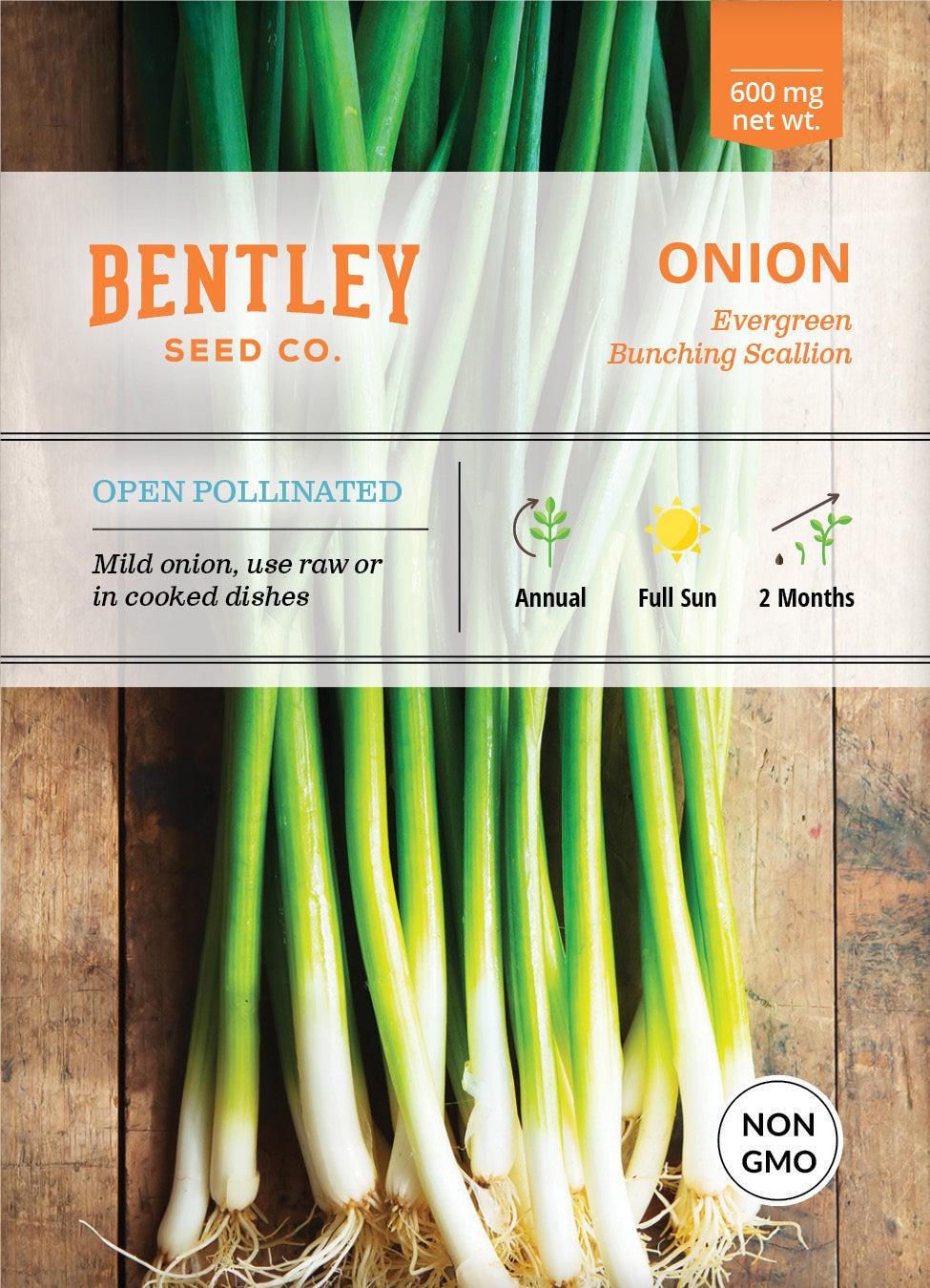 Bentley Seed Co. Onion Evergreen Bunching Seed Packets