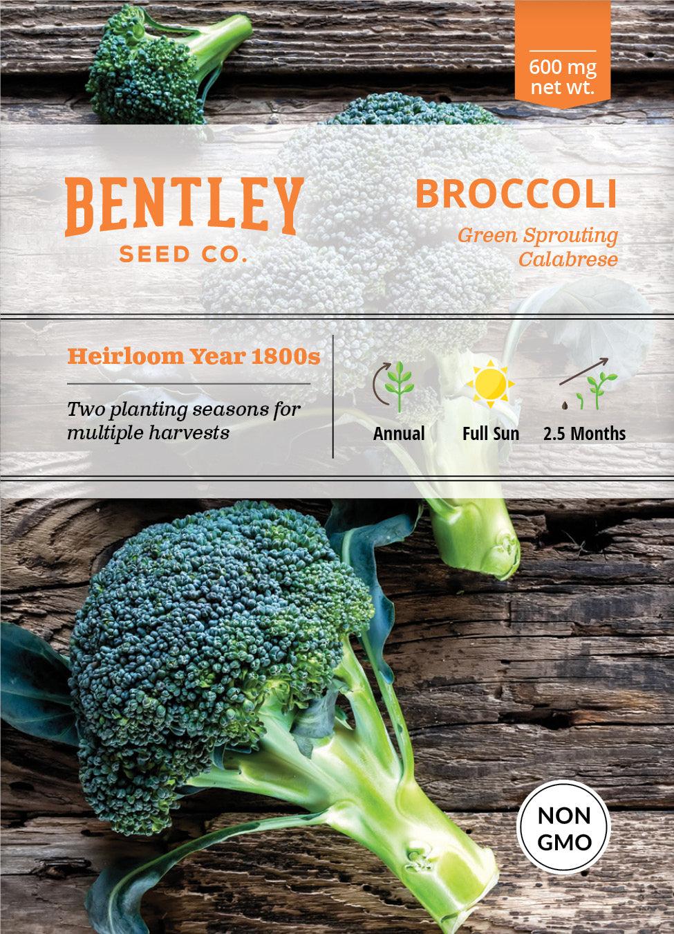 Bentley Seed Co. Broccoli Green Sprouting Seed Packets, 600-mg
