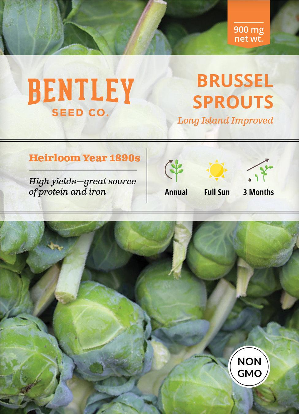 Bentley Seed Co. Brussel Sprouts Long Island Seed Packets, 900-mg
