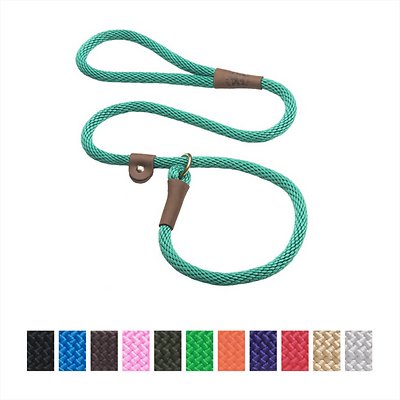 Mendota Pet Large Slip Solid Dog Leash, Kelly Green, 1/2-in x 4-ft