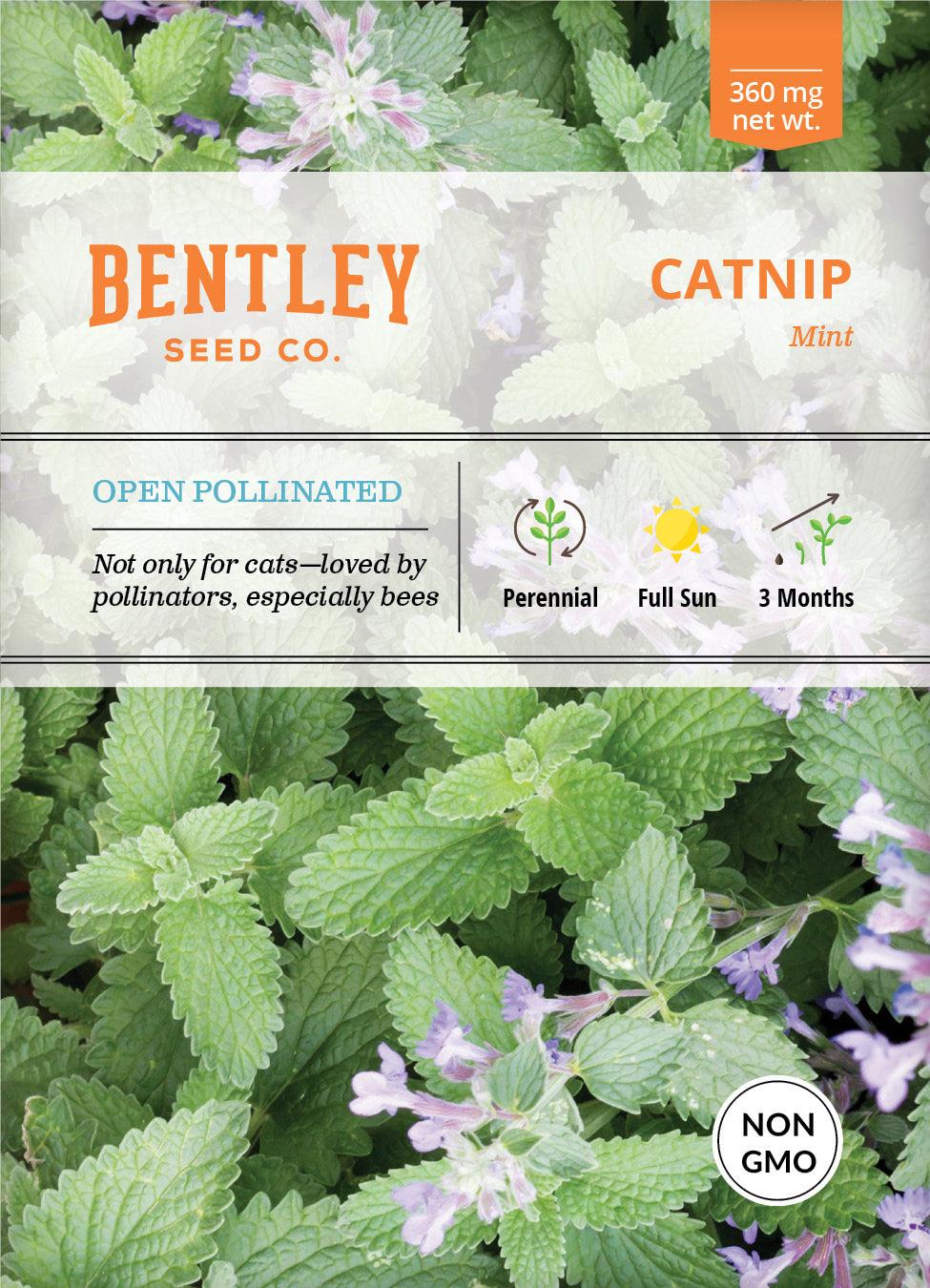 Bentley Seed Co. Catnip Seed Packets