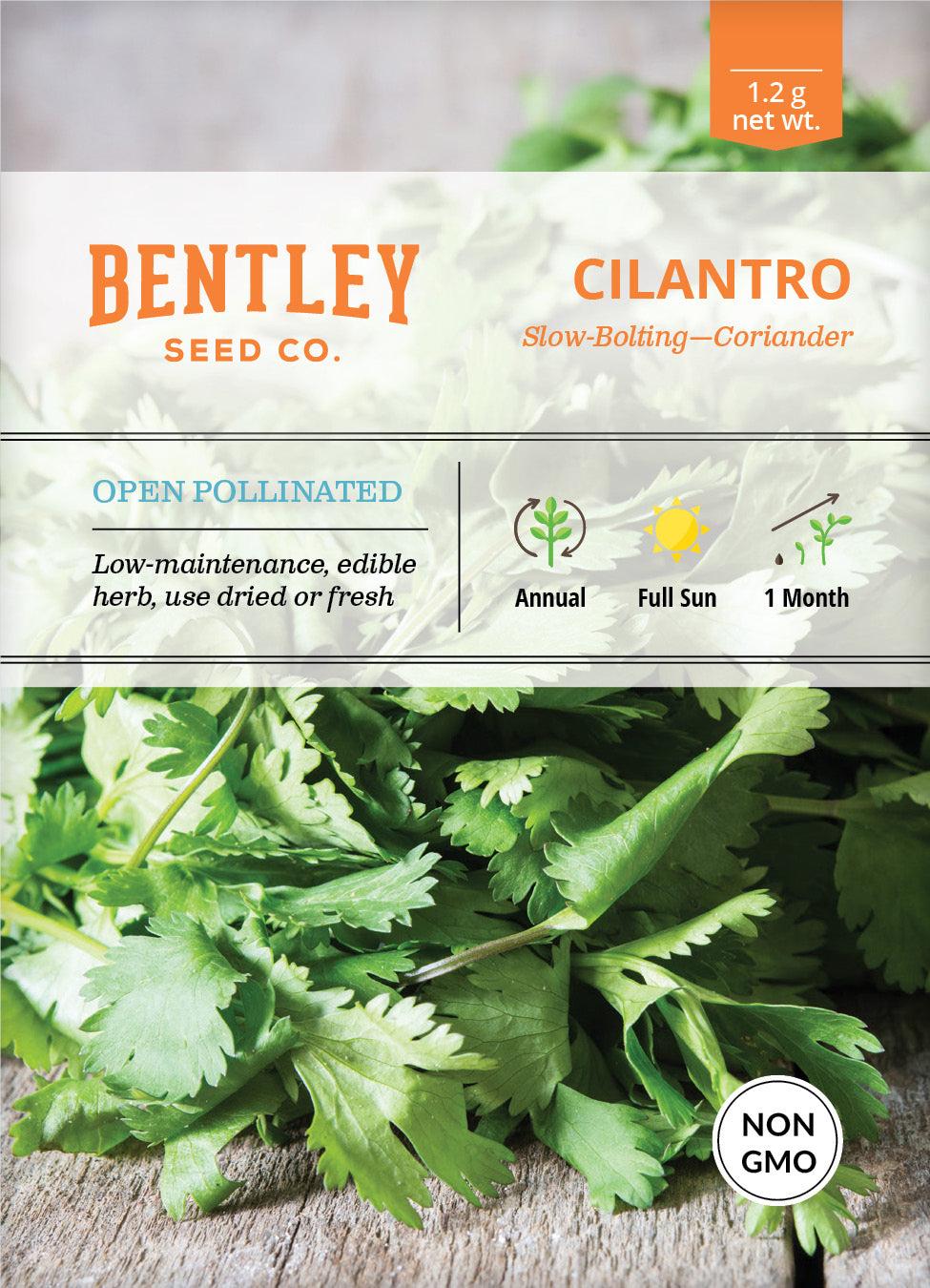 Bentley Seed Co. Cilantro Slow Bolting Seed Packets, 1.2-gram