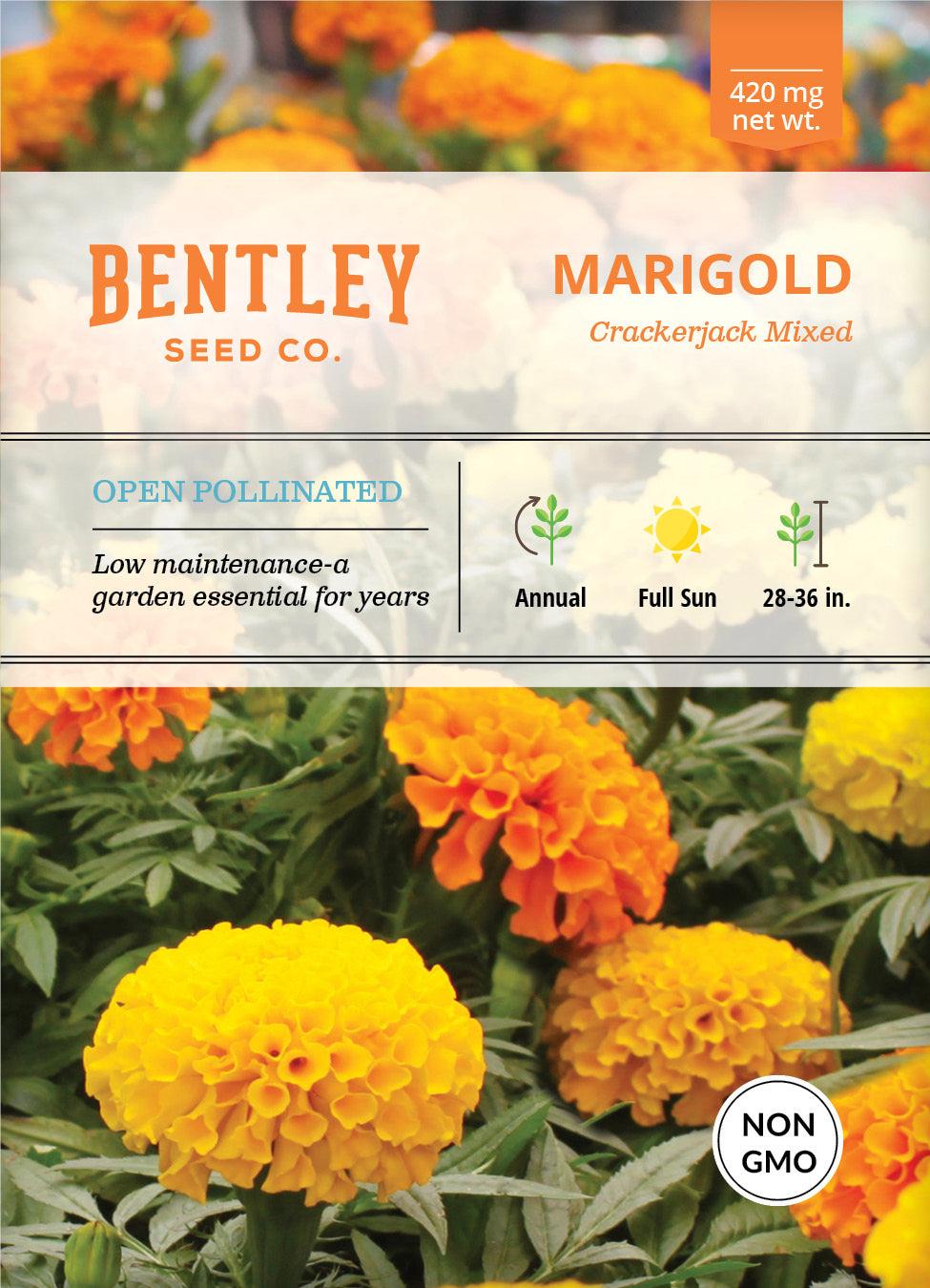 Bentley Seed Co. Marigold Crackerjack Mixed Colors Seed Packets