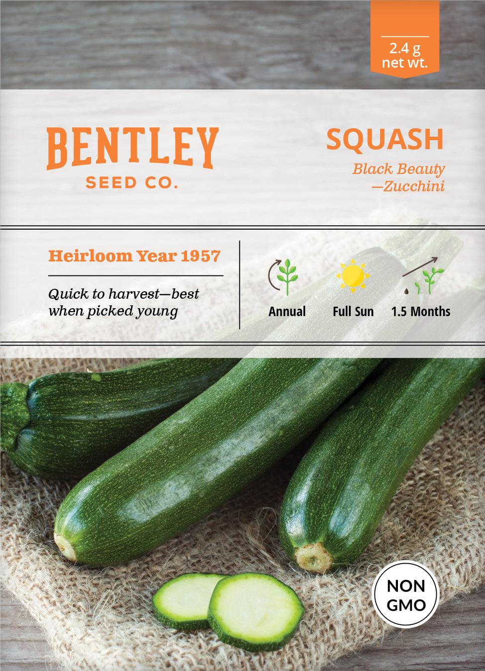 Bentley Seed Co. Squash Zucchini Black Beauty Seed Packets, 2.4-gram