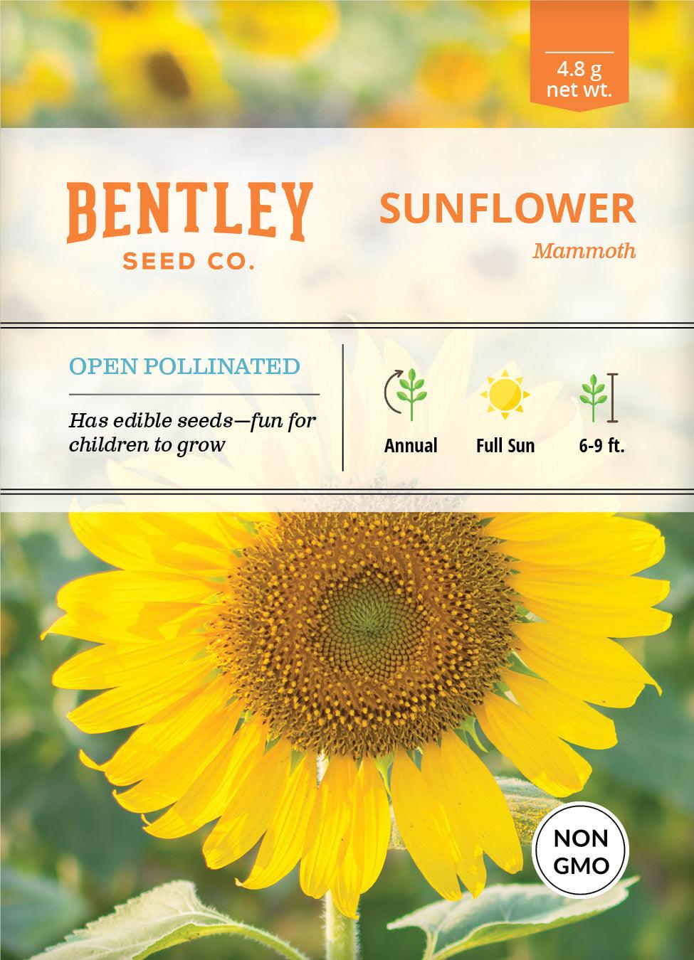 Bentley Seed Co. Sunflower Mammoth Seed Packets, 4.8-gram
