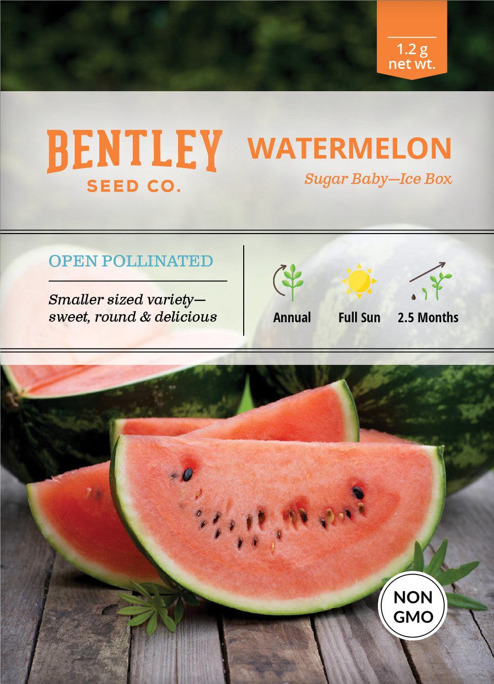 Bentley Seed Co. Watermelon Sugar Baby Seed Packets, 1.2-gram