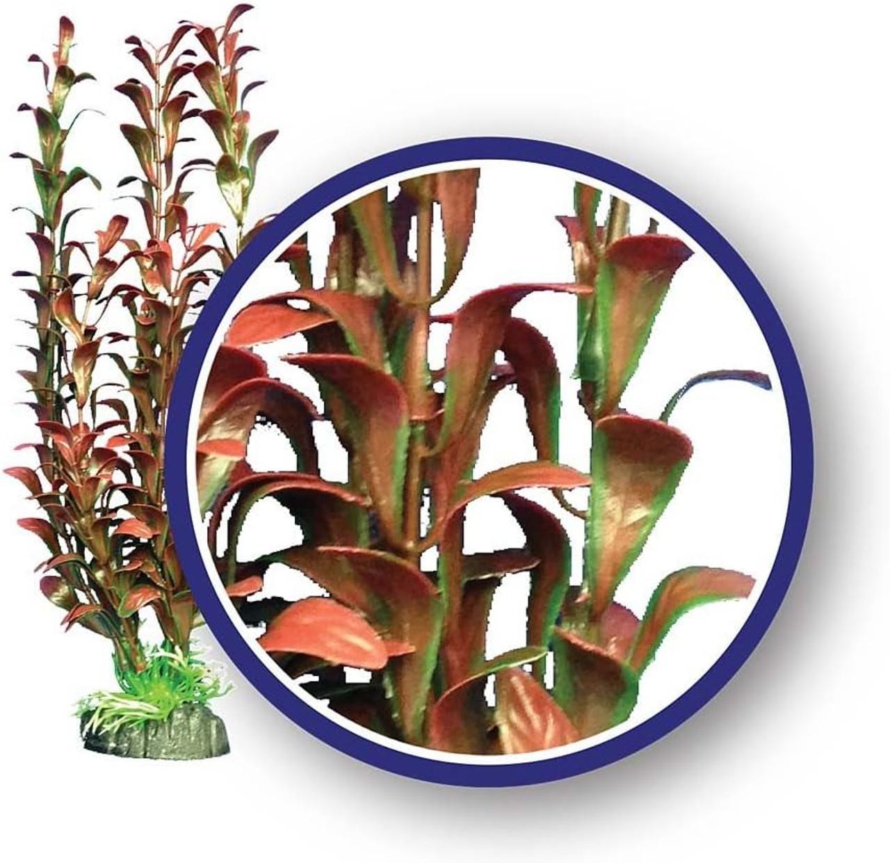 Weco Hygrophilia Aquarium Plant, Red, 12-in