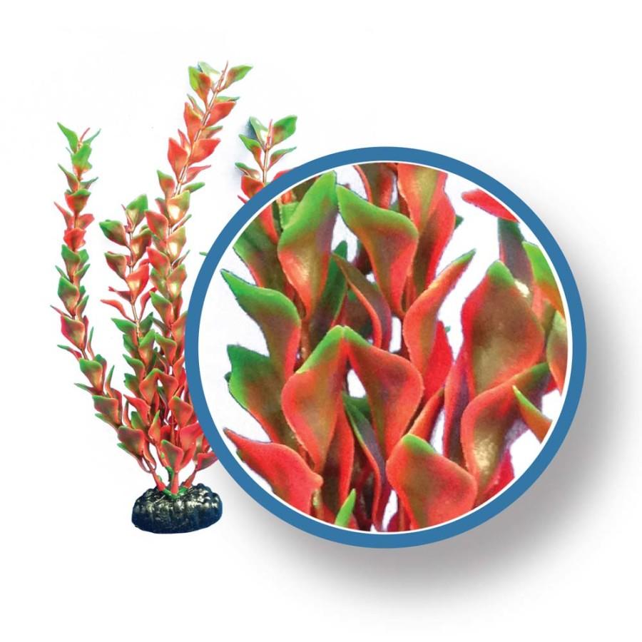 Weco Ludwigia Aquarium Plant, Red, 24-in