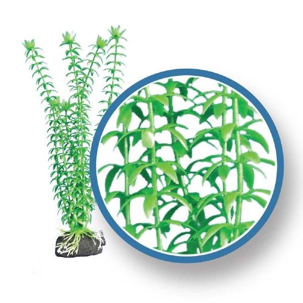 Weco Tonina Aquarium Plant, Green, 6-in