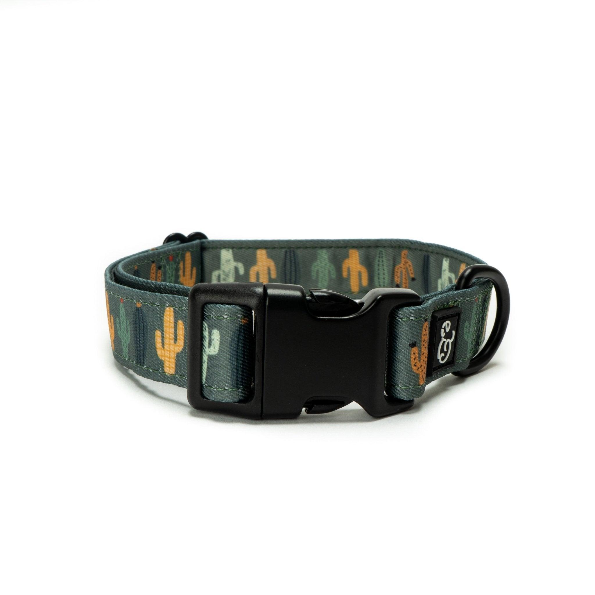 Lucy & Co. Dog Collar, Looking Sharp, Small