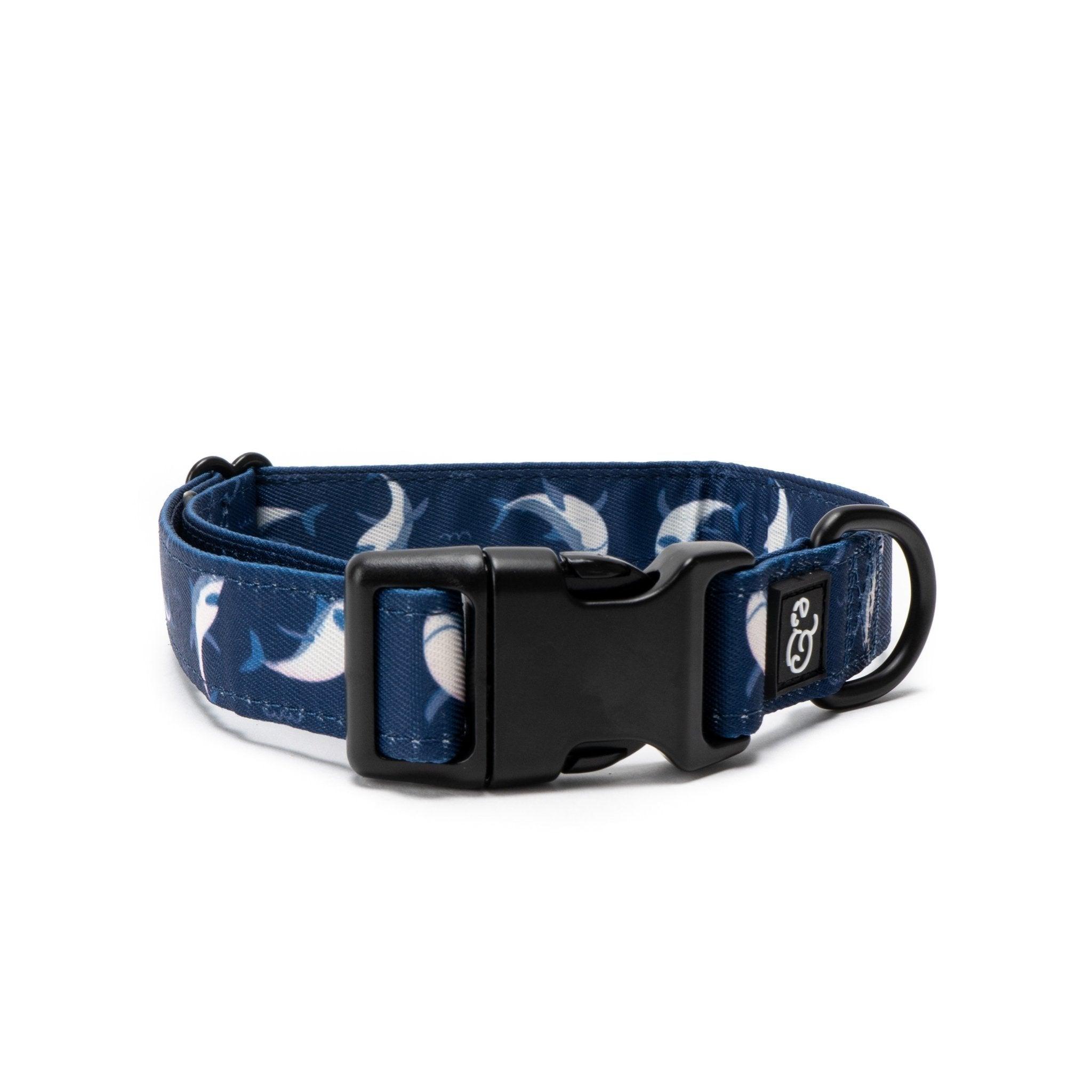 Lucy & Co. Dog Collar, Shark Attack