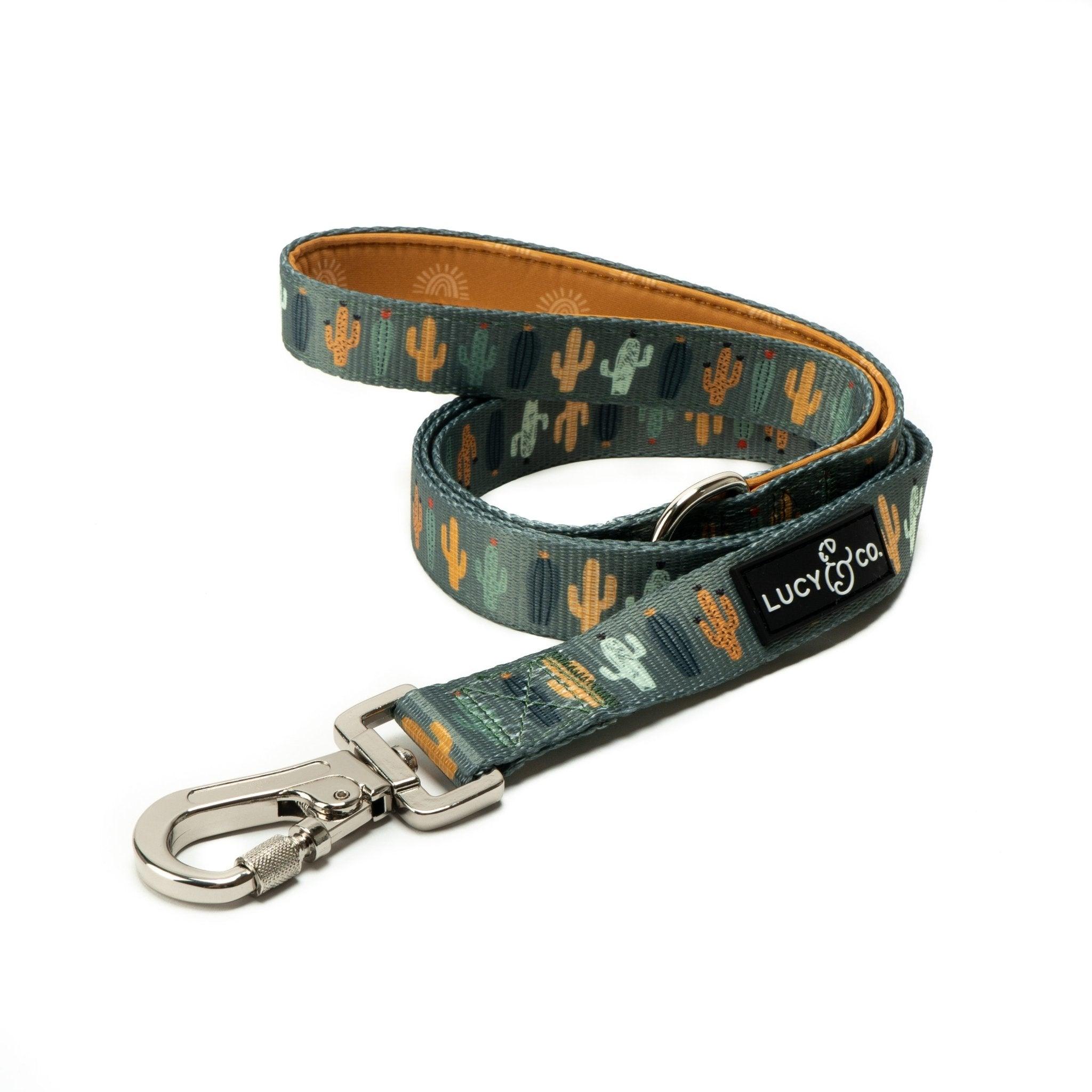 Lucy & Co. Dog Leash, Looking Sharp, Large