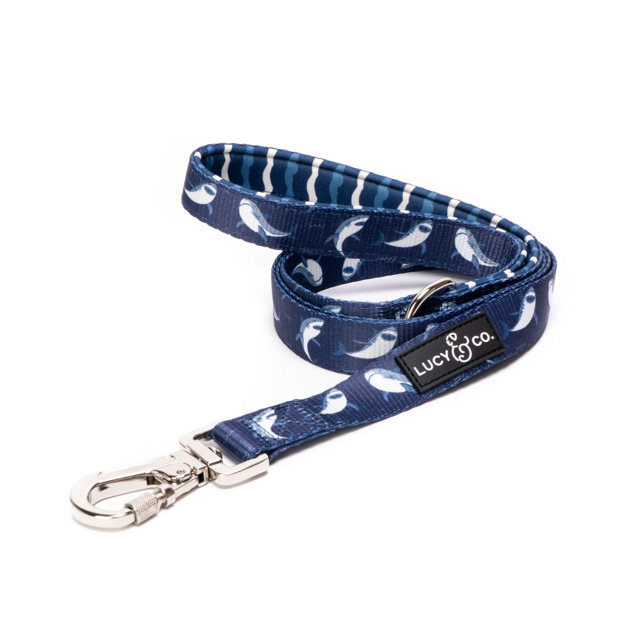 Lucy & Co. Dog Leash, Shark Attack, Large