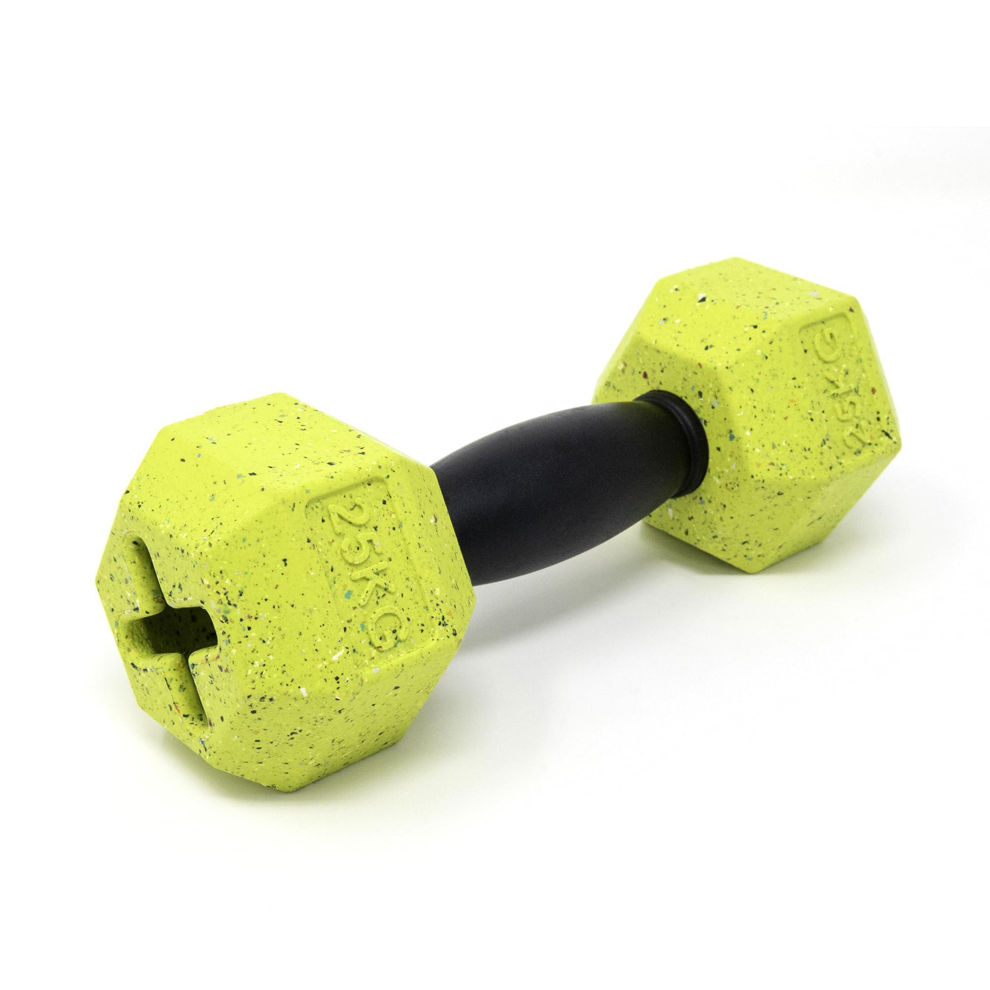 Arlee Max Fusion with Nike Grind Dumbbell Dog Toy, Green, Large