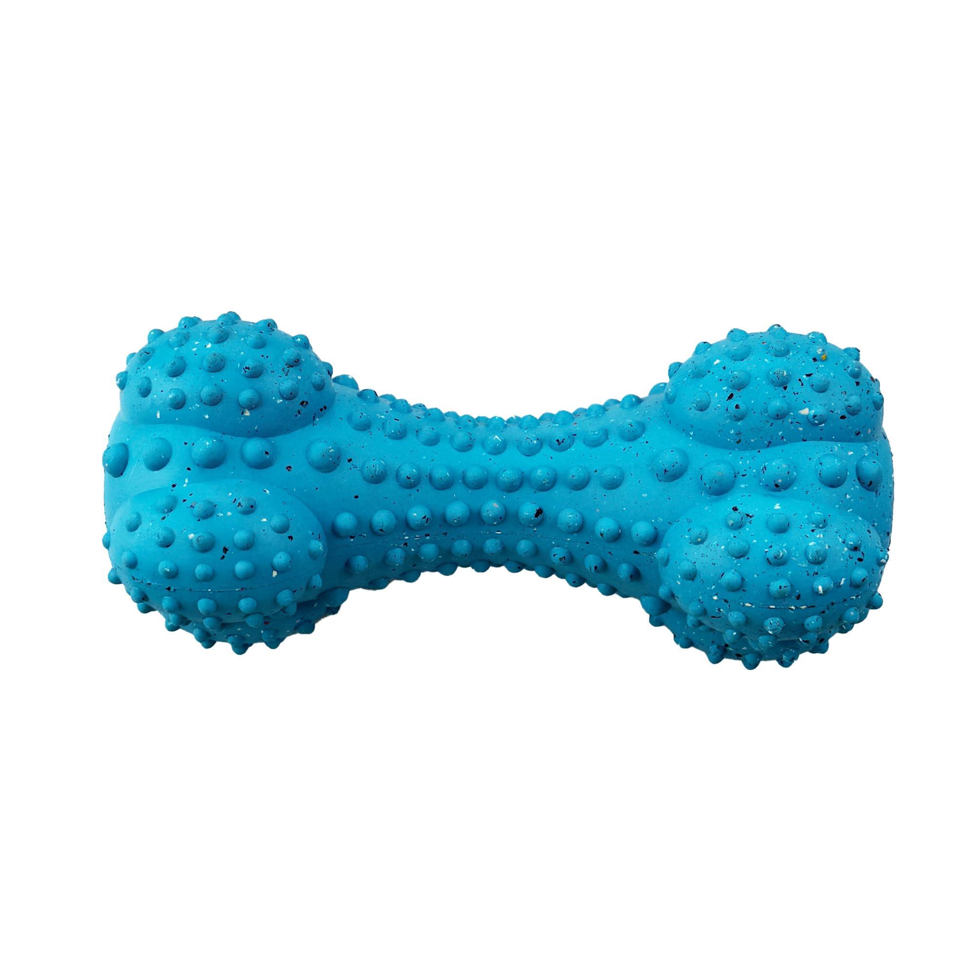 Arlee Max Fusion with Nike Grind Pulse Bone Dog Toy, Blue, Large