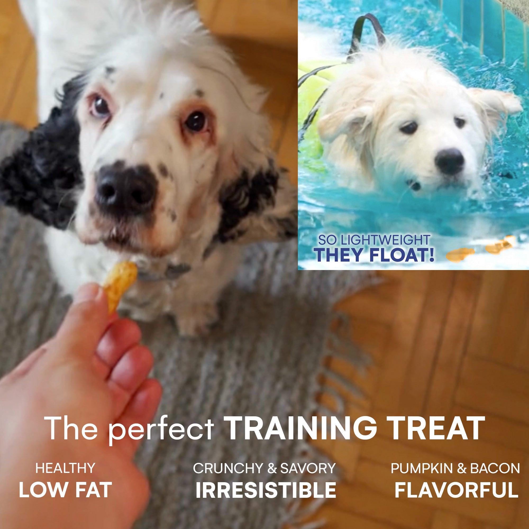 Raw Dog Natural Chews Crispy Collagen Punkin Puffs Dog Treats, 2.5-oz