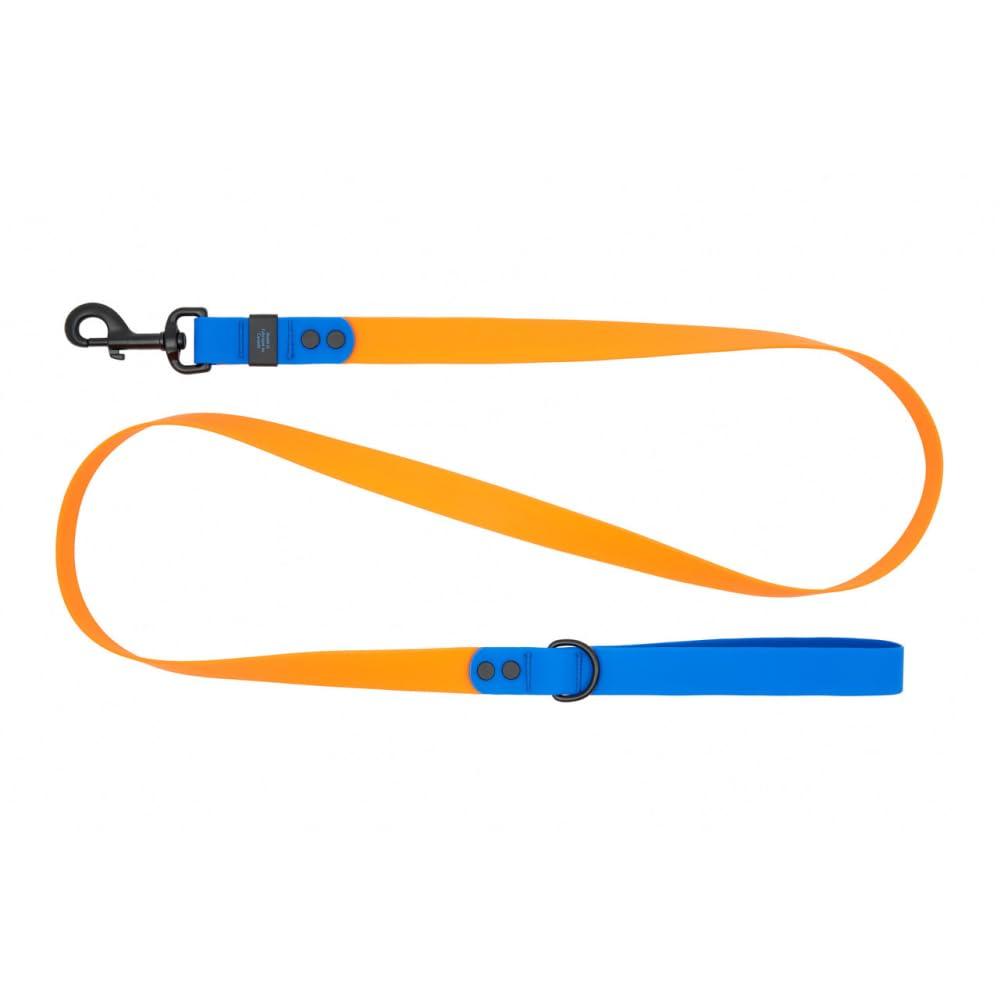 RC Pets Waterproof Dog Leash, Orange/Sapphire