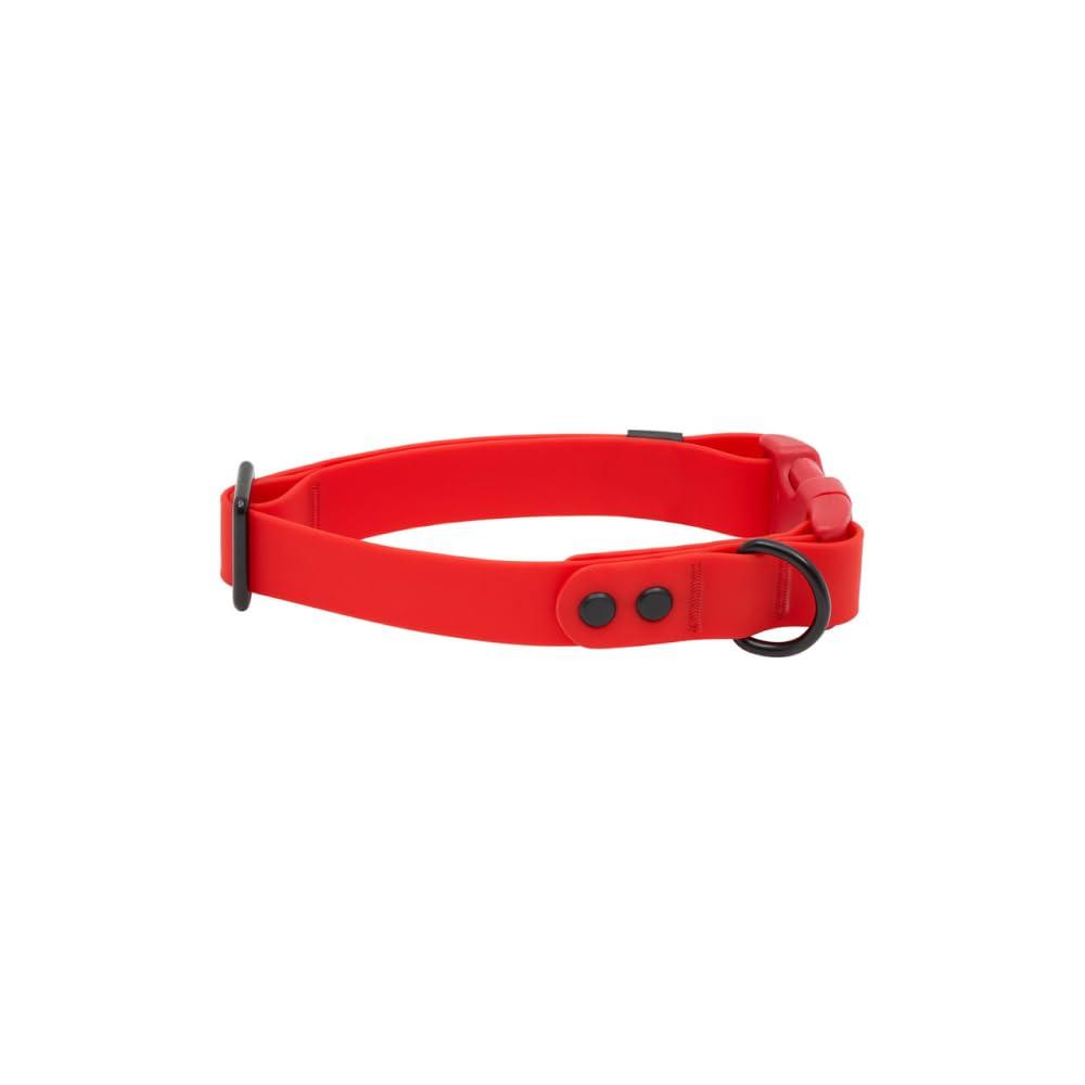 RC Pets Waterproof Dog Collar, Red
