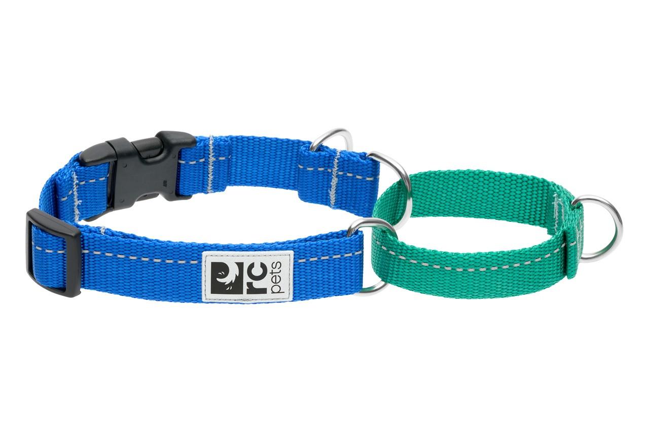 RC Pets Web Training Clip Dog Collar, Sapphire/Parakeet