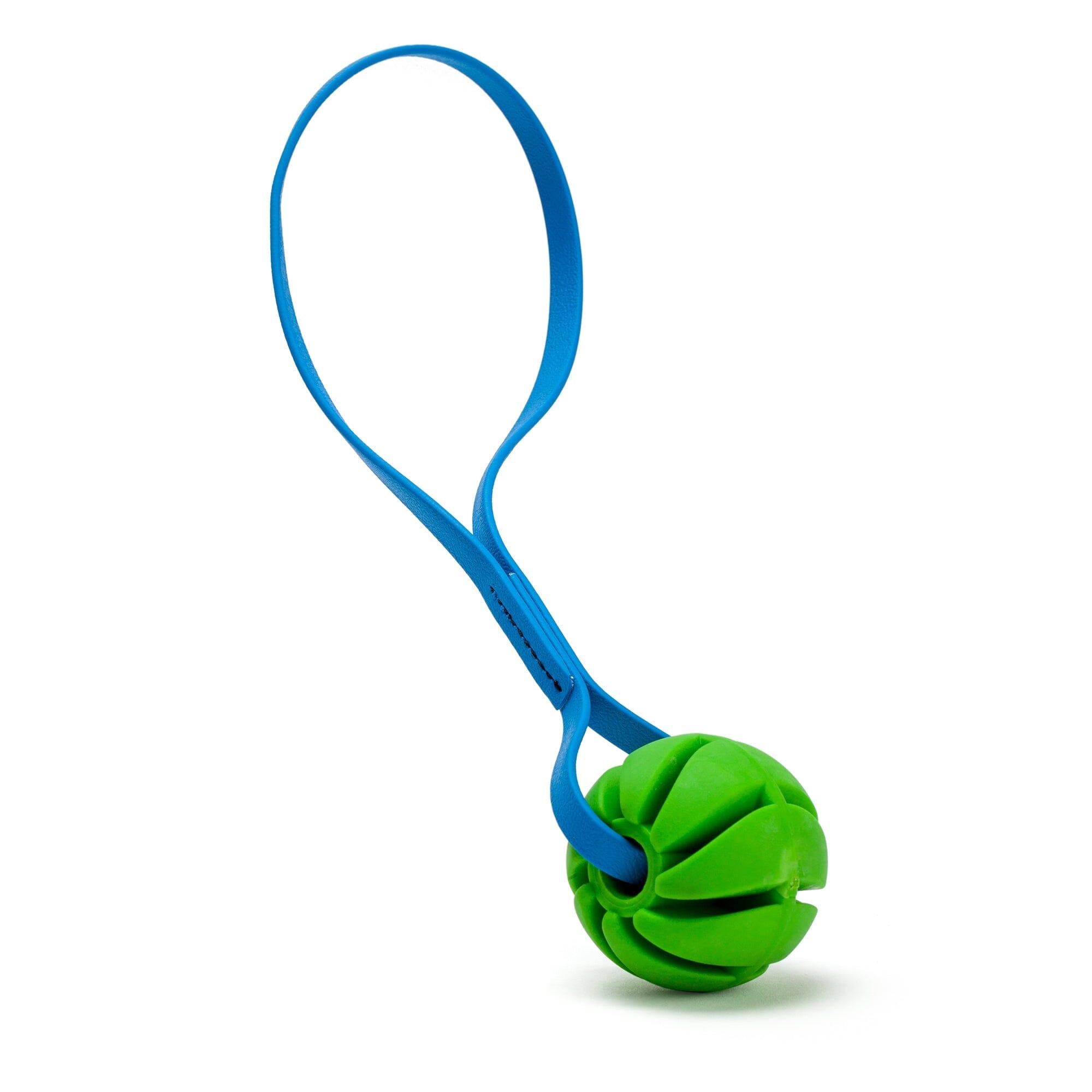 Dogline Rubber Spiral Ball with Biothane Handle Dog Toy, Green/Cerulean Blue