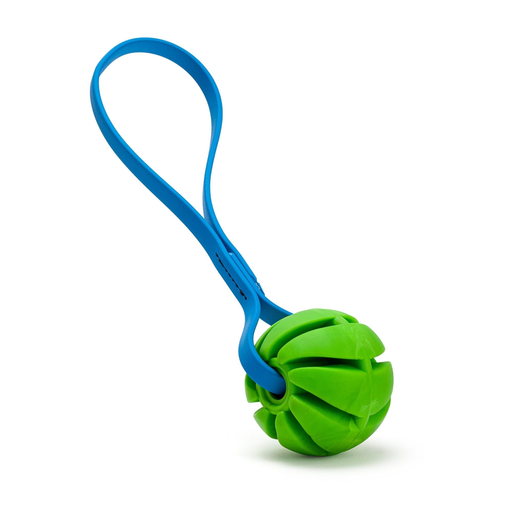 Dogline Rubber Spiral Ball with Biothane Handle Dog Toy, Green/Cerulean Blue, 2.75-in