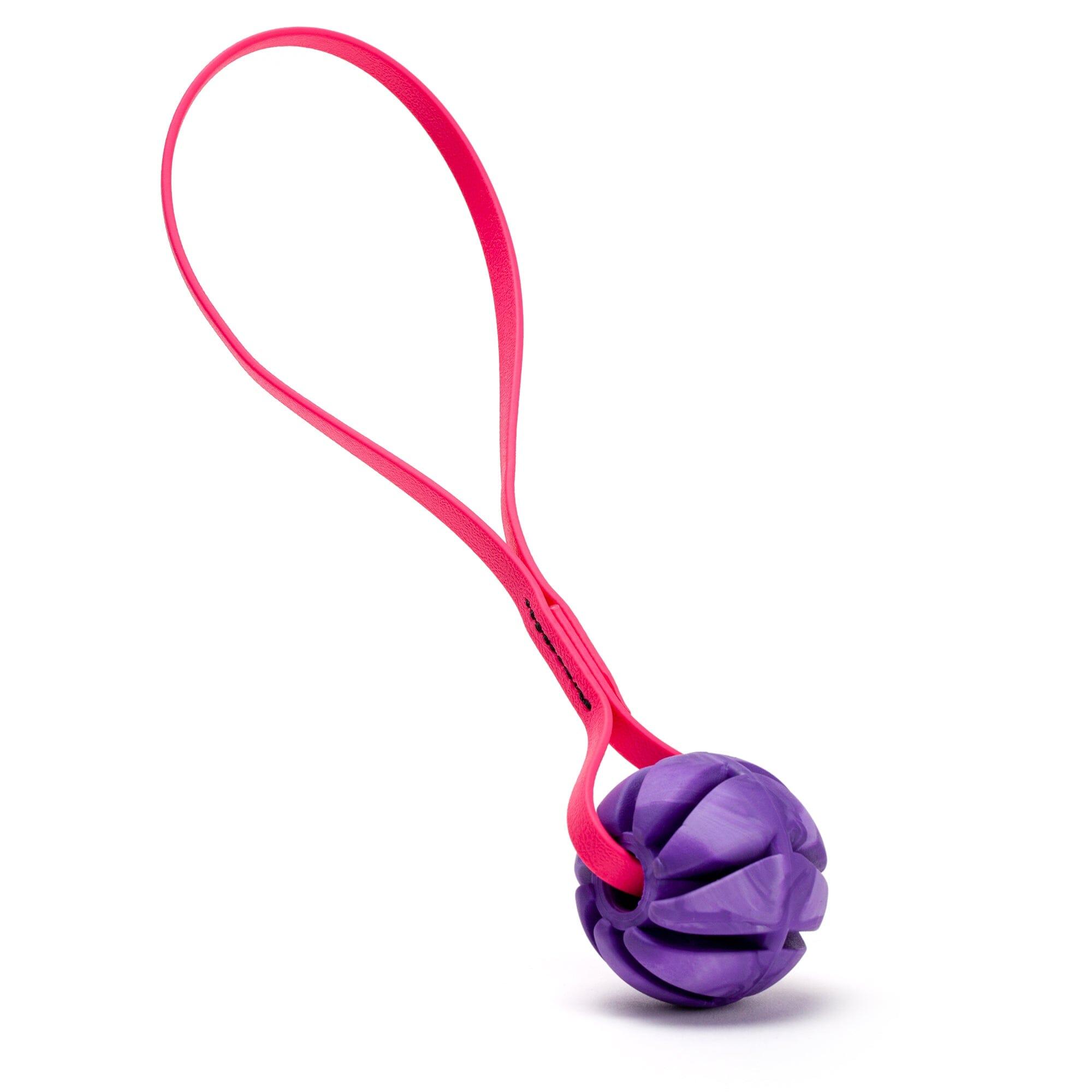 Dogline Rubber Spiral Ball with Biothane Handle Dog Toy, Purple/Passionfruit Pink