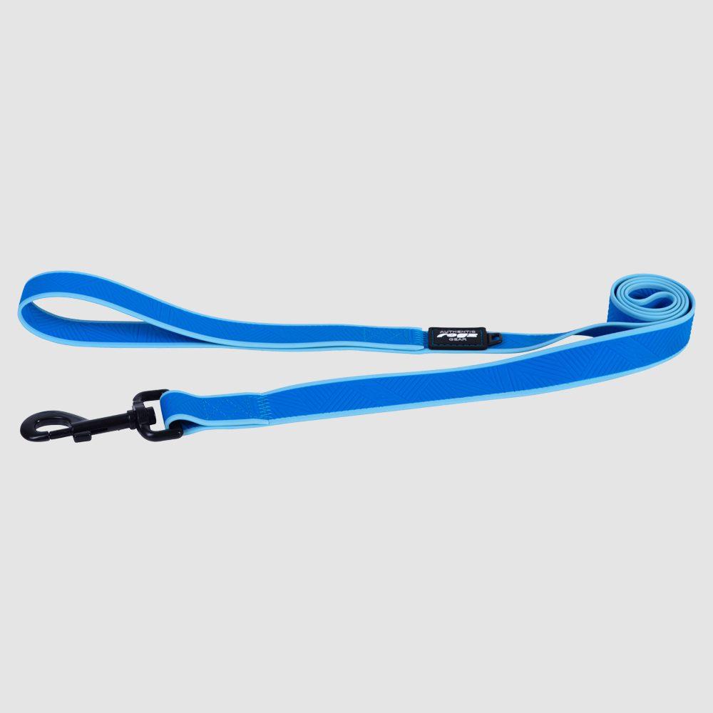 Rogz Amphibian Classic Dog Leash, Blue