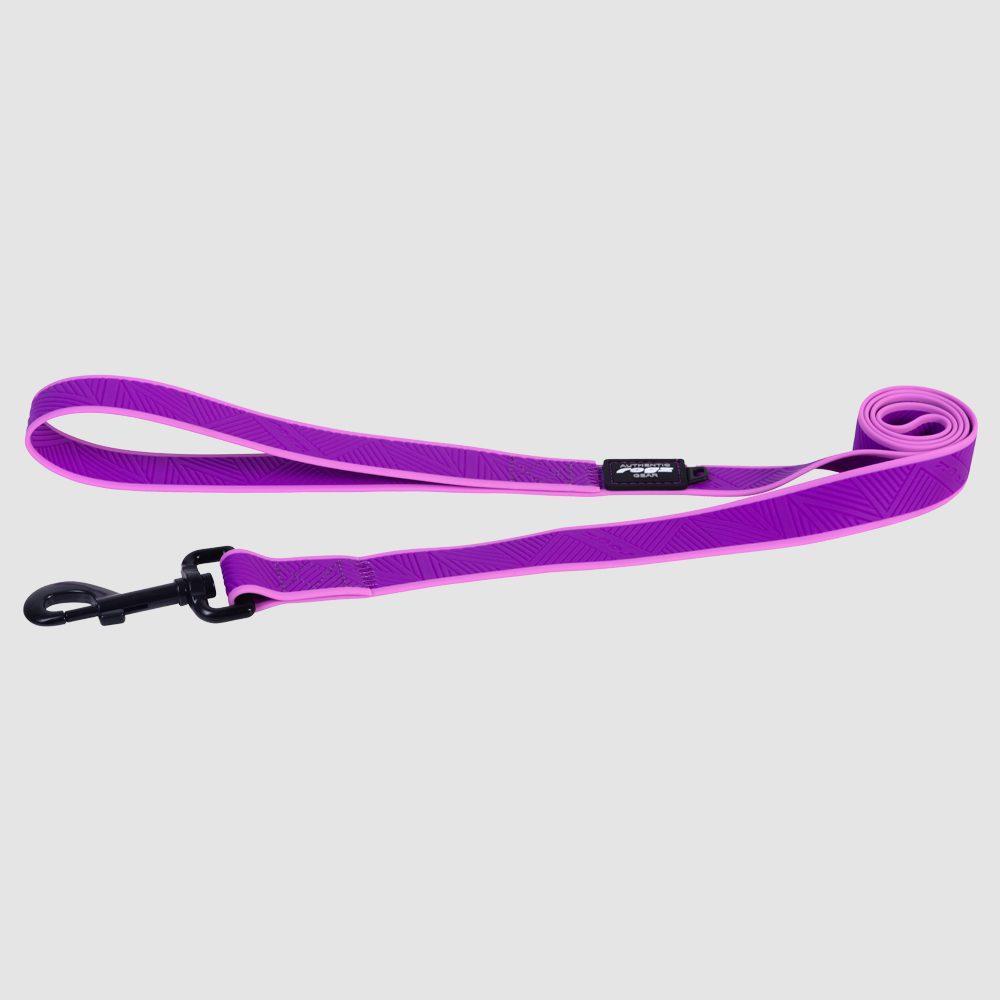 Rogz Amphibian Classic Dog Leash, Purple