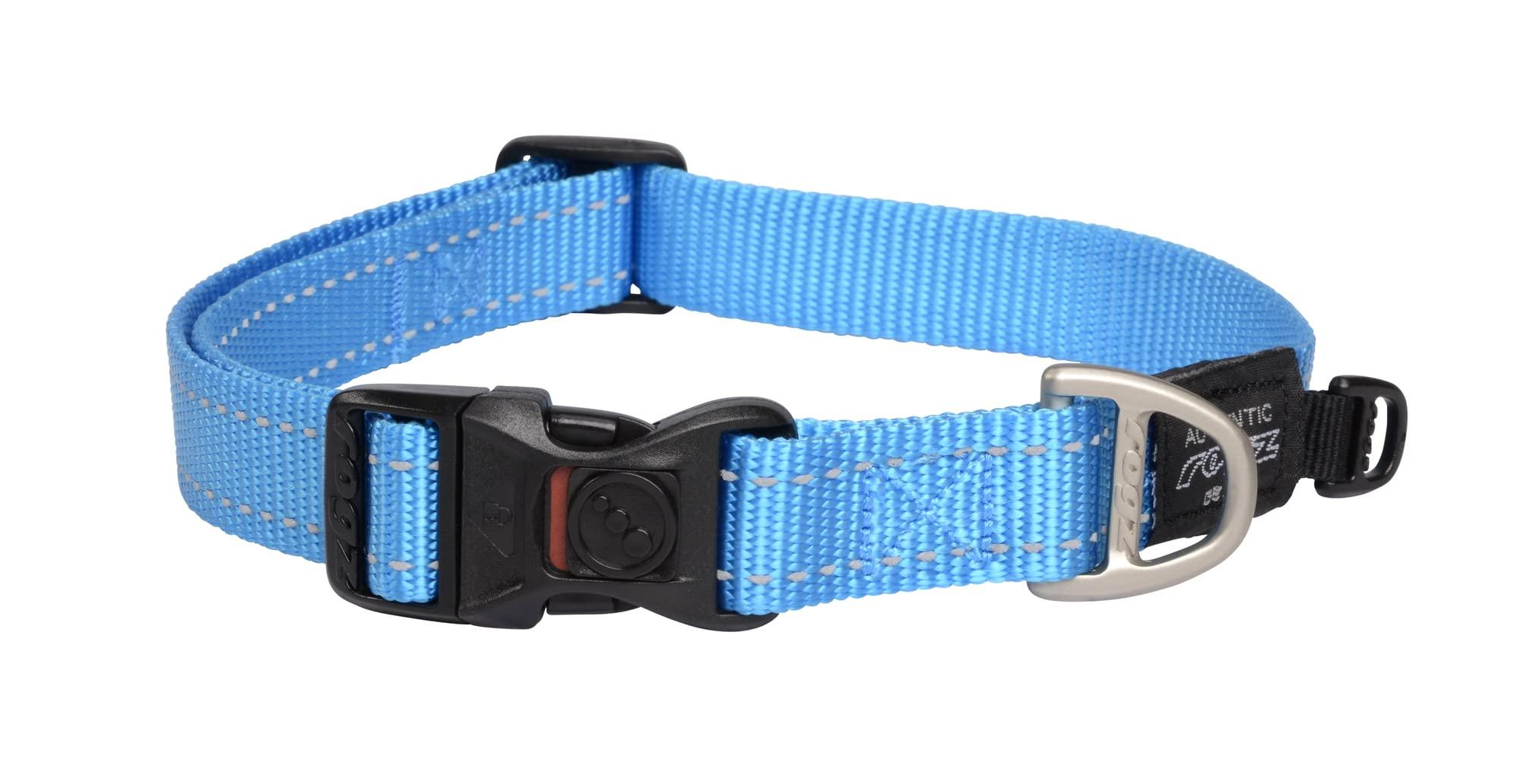 Rogz Utility Classic Dog Collar, Turquoise