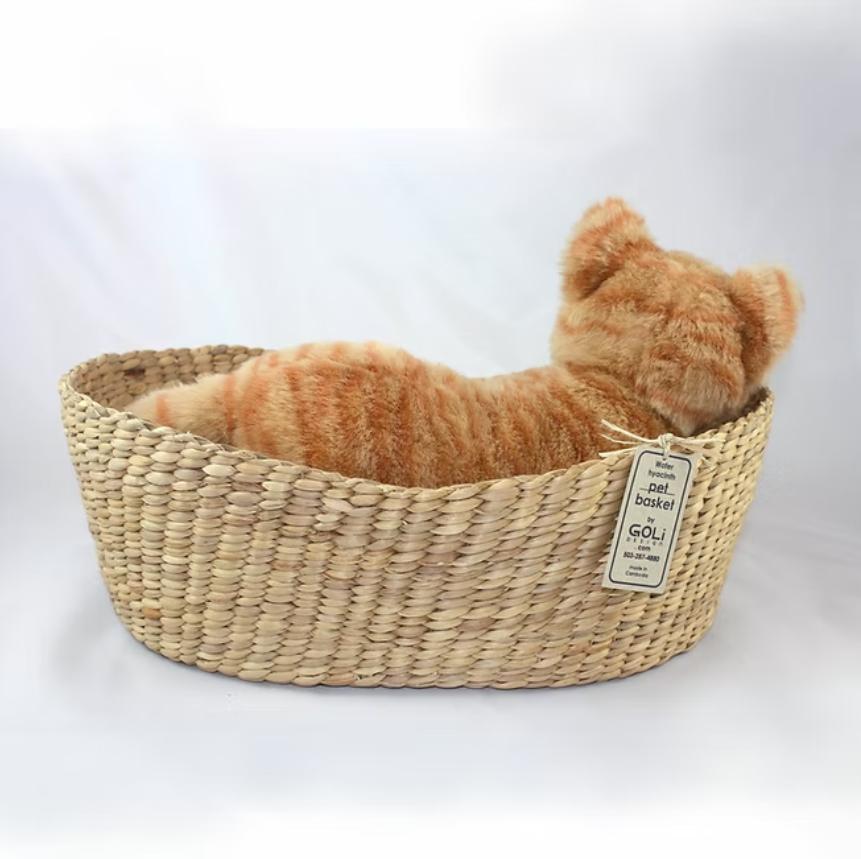 Goli Design Water Hyacinth Pet Basket