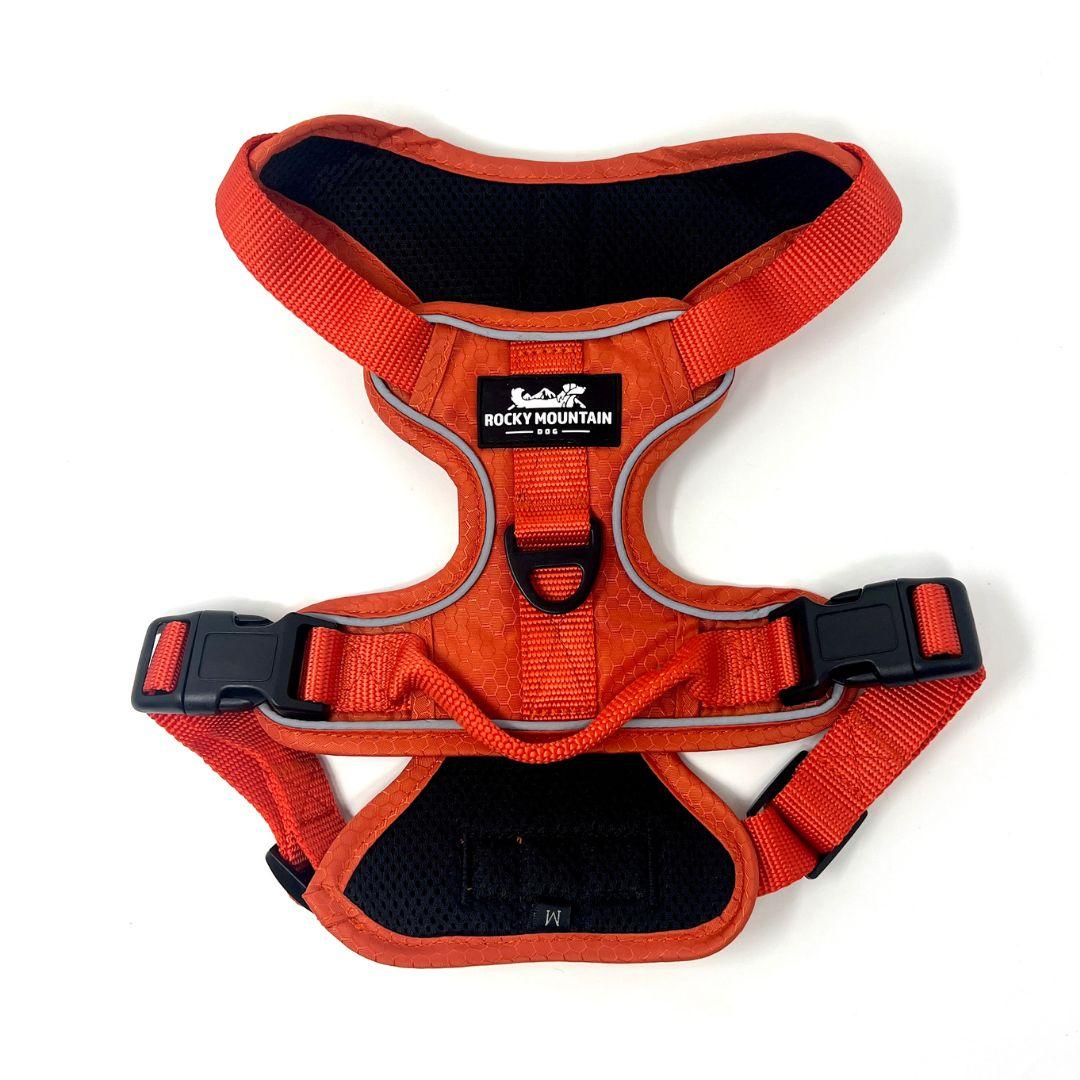 Rocky Mountain Dog Summit All-Terrain Dog Harness, Orange