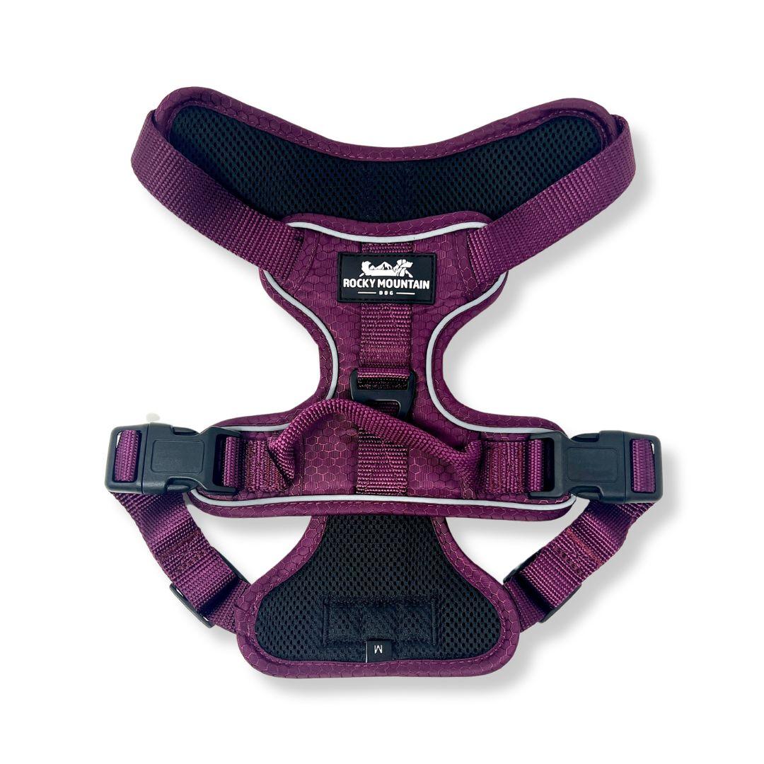 Rocky Mountain Dog Summit All-Terrain Dog Harness, Purple, X-Small