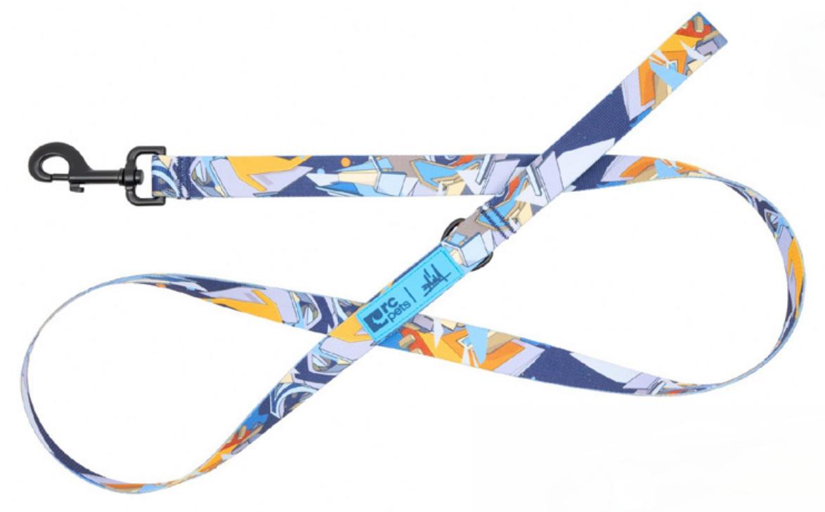 RC Pets Artist Series Dog Leash, Daim, 1-in x 5-ft