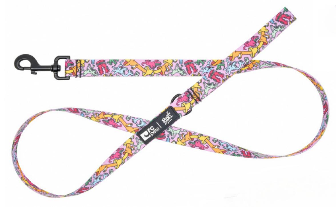 RC Pets Artist Series Dog Leash, Runt, 1-in x 5-ft
