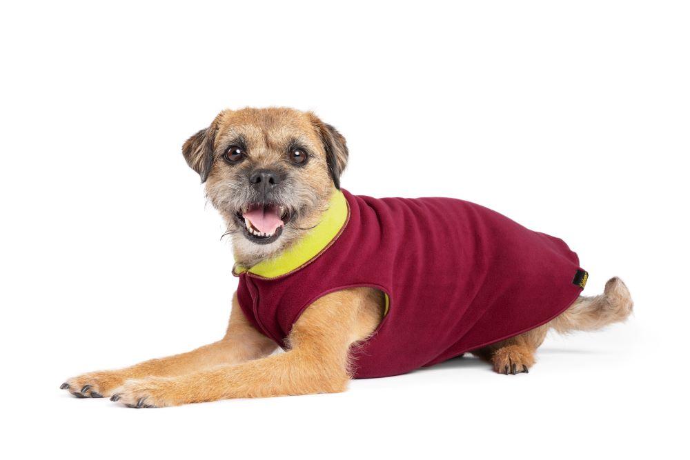 Goldpaw Duluth Double Fleece Dog Coat, Garnet/Avocado