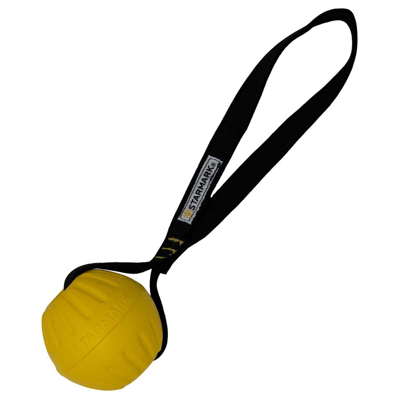 Starmark GripCord DuraFoam Ball Loop Dog Toy