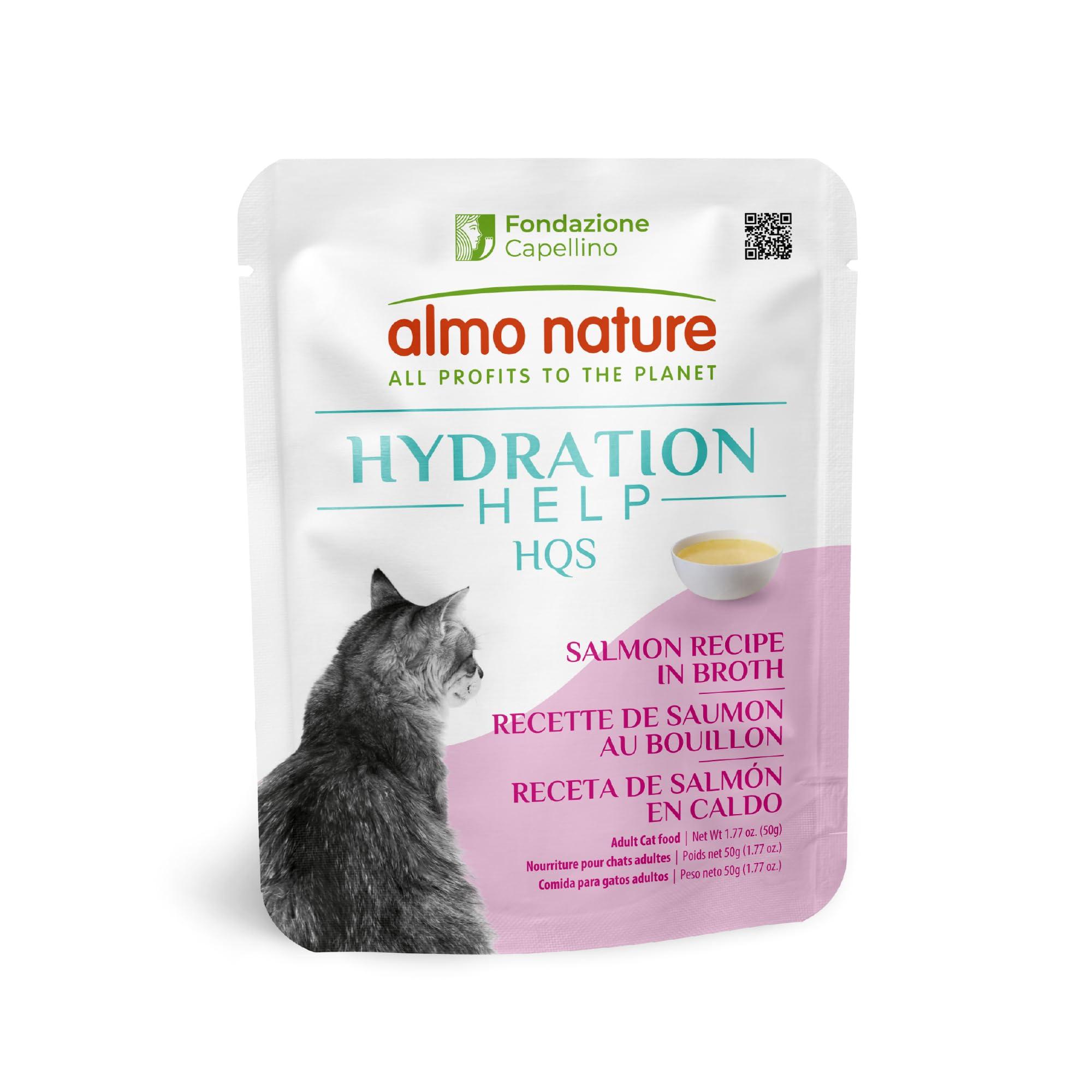Almo Nature HQS Hydration Help Salmon in Broth Wet Cat Food Supplement Pouch, 1.77-oz