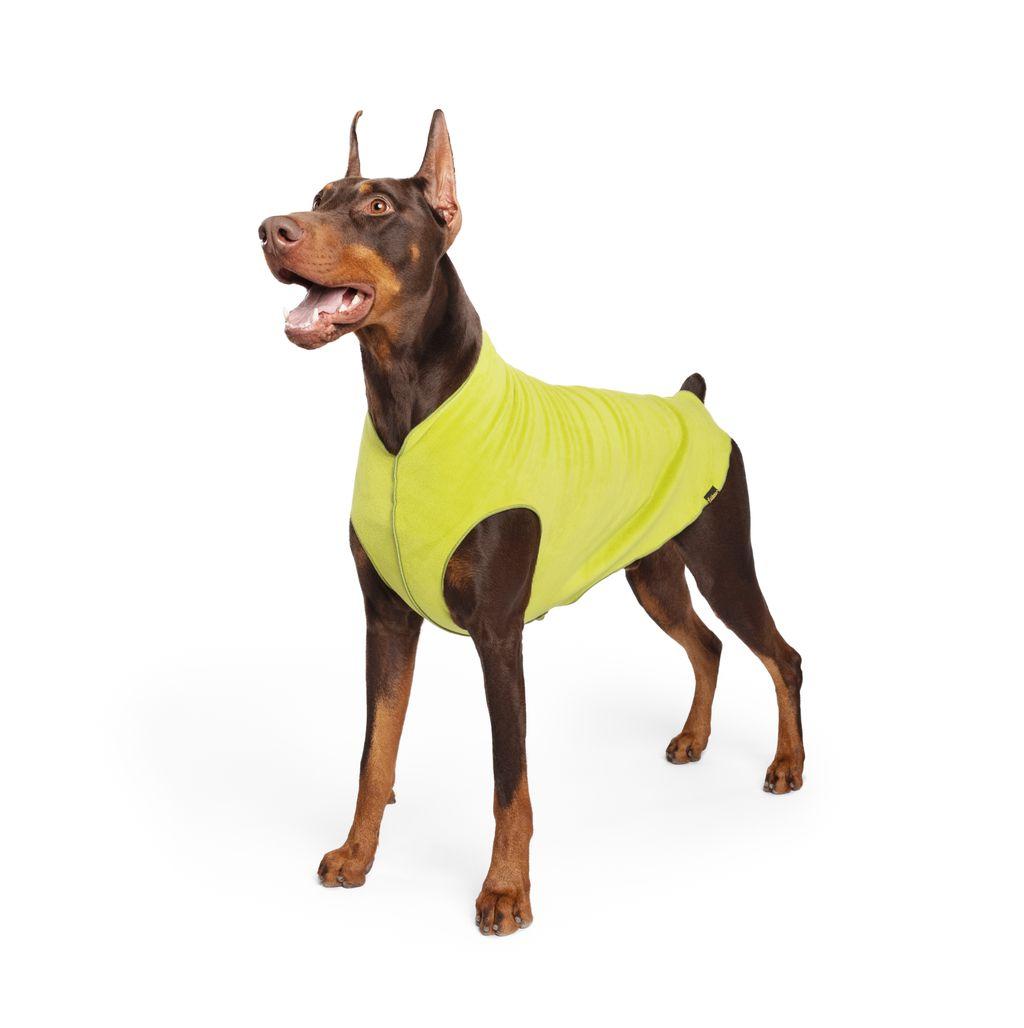Goldpaw Stretch Fleece Dog Coat, Avocado