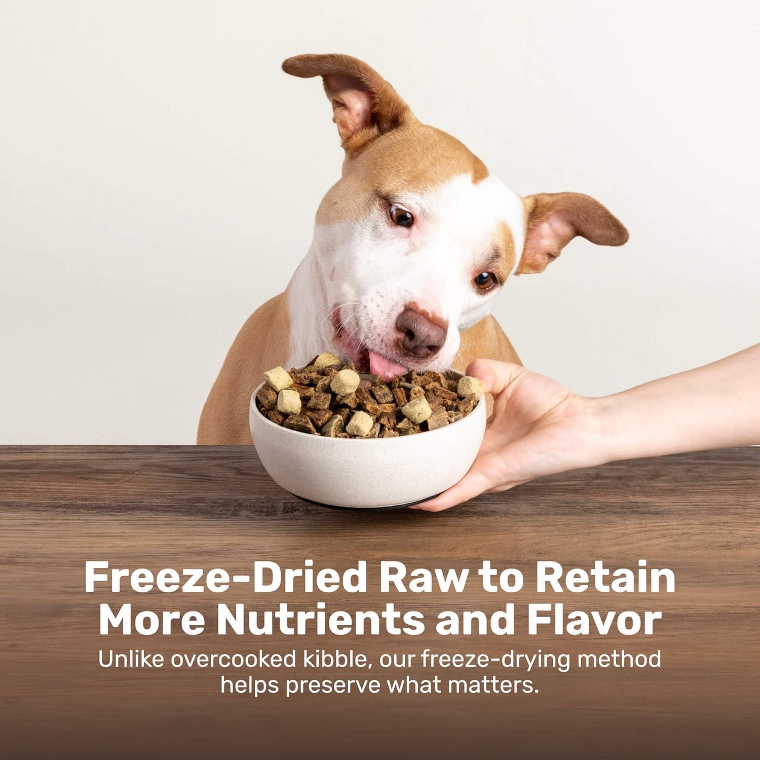 Badlands Ranch Superfood Nuggets Bison & Kale Freeze-Dried Dog Food ...