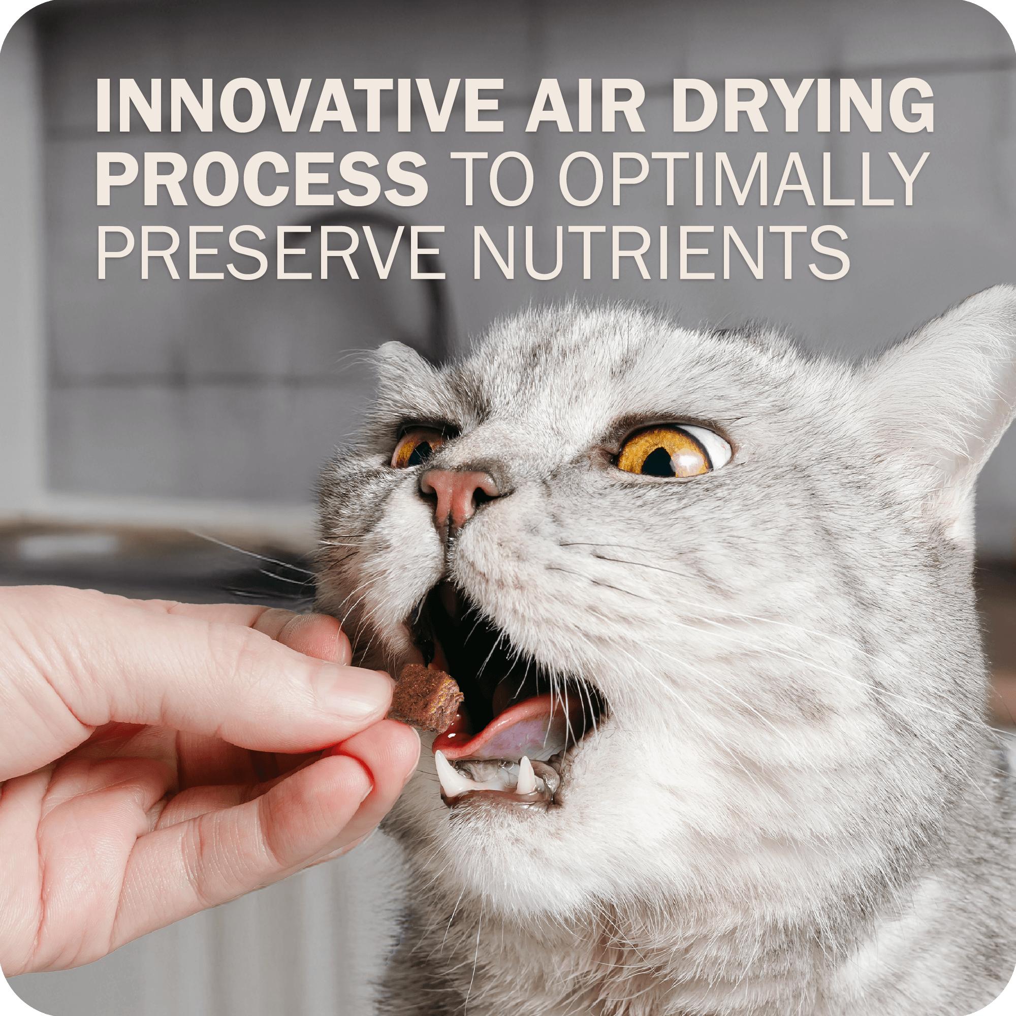 Redbarn Powerfood Chicken Gently Air-Dried Cat Food, 2-lb