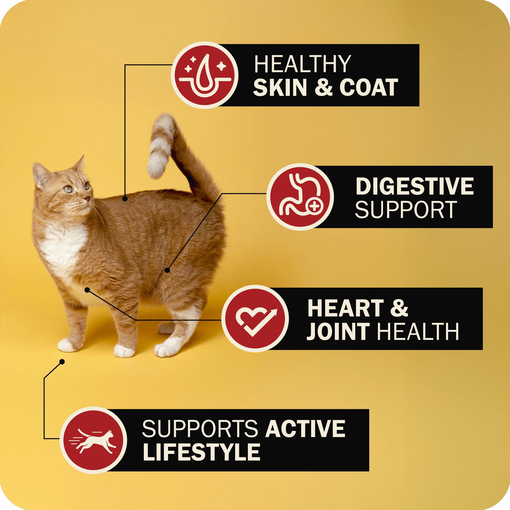 Redbarn Powerfood Chicken Gently Air-Dried Cat Food, 2-lb