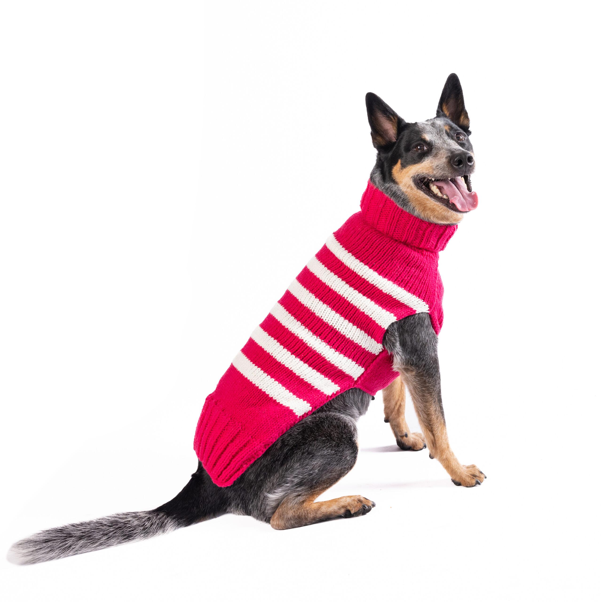 Chilly Dog Katie Alpaca Stripe Dog Sweater, X-Small