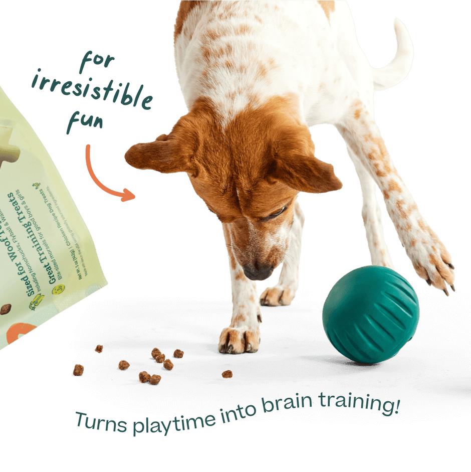 Woof Pet Puzzle Chicken Recipe Dog Treats, 5-oz