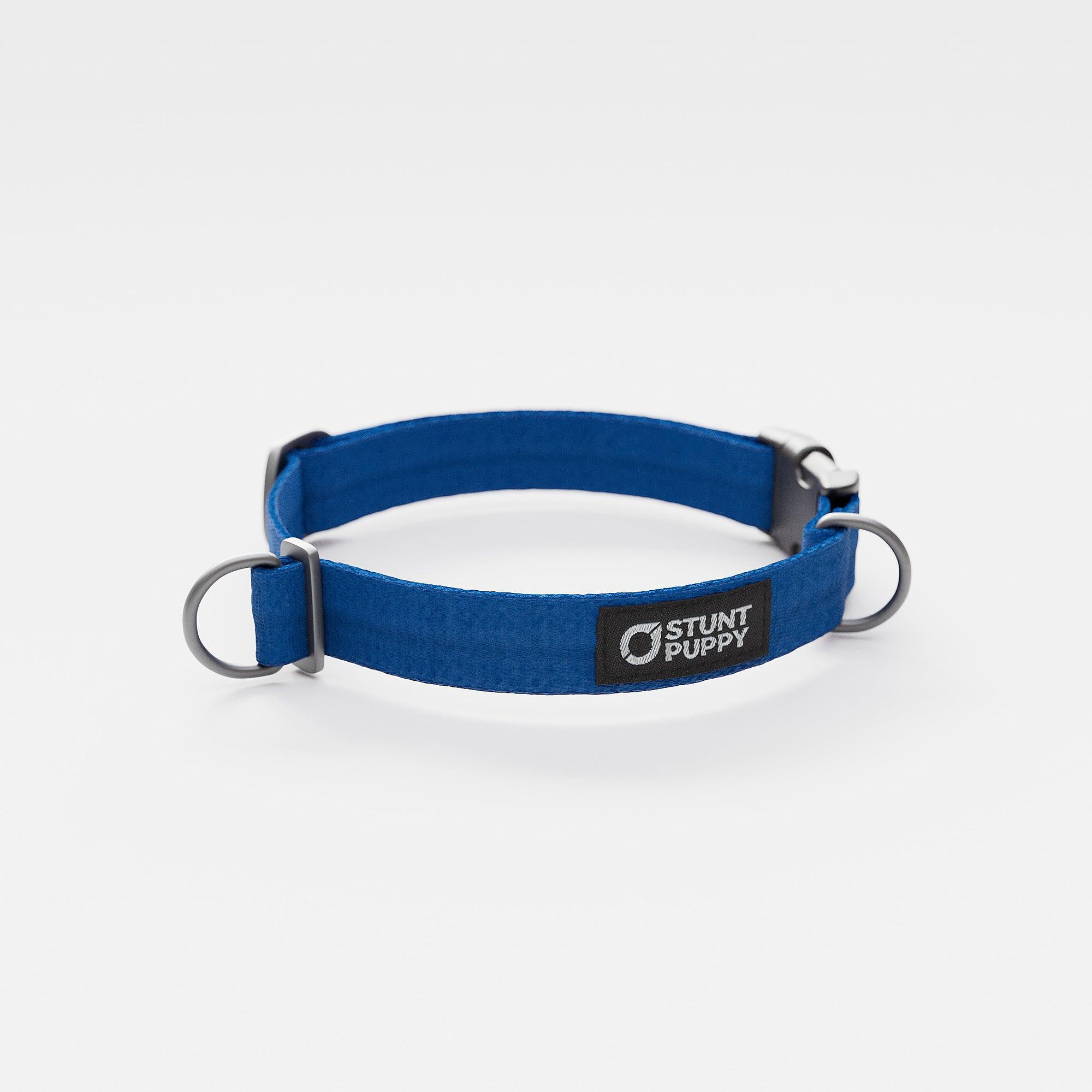 Stunt Puppy Monochrome Everyday Dog Collar, Lake