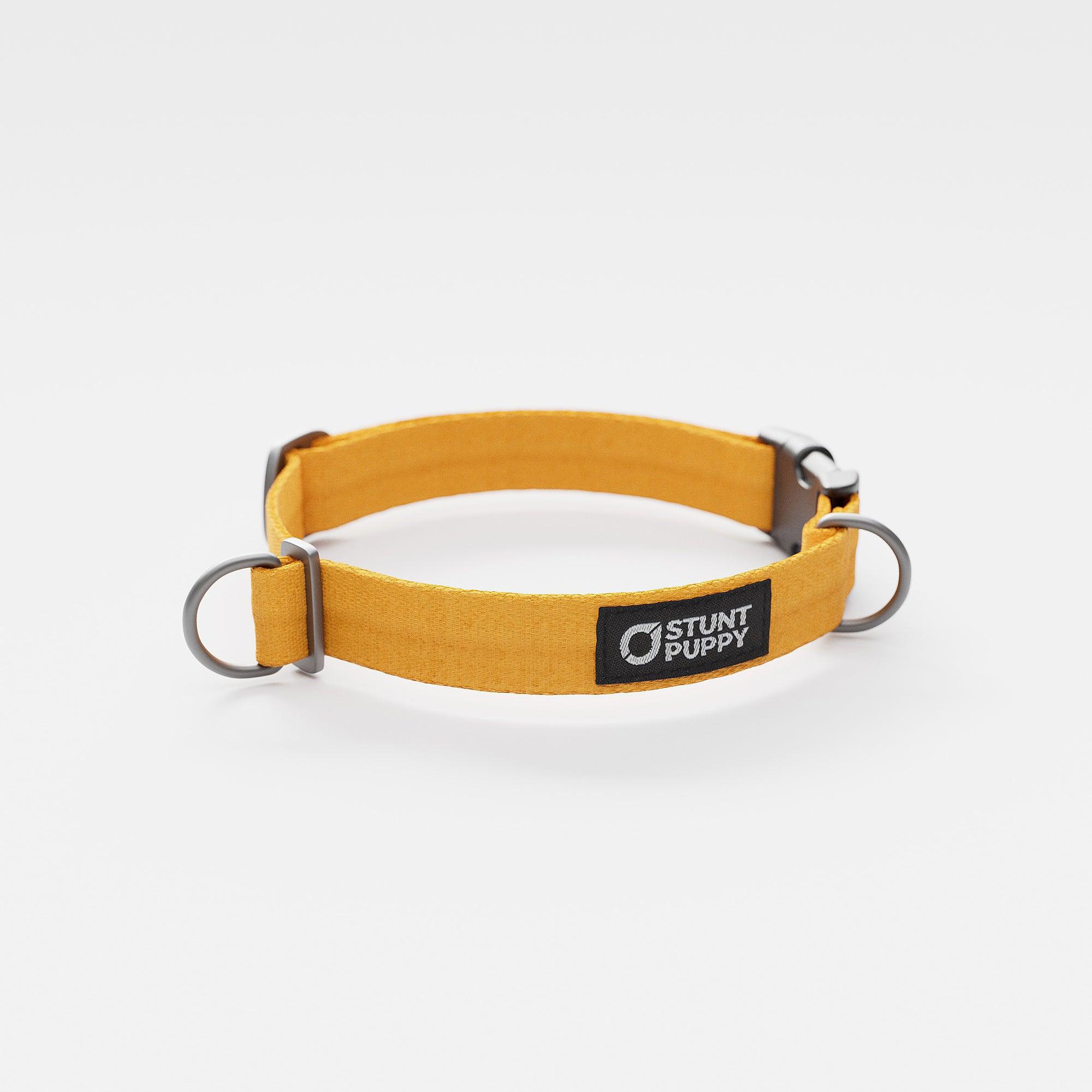 Stunt Puppy Monochrome Everyday Dog Collar, Marigold
