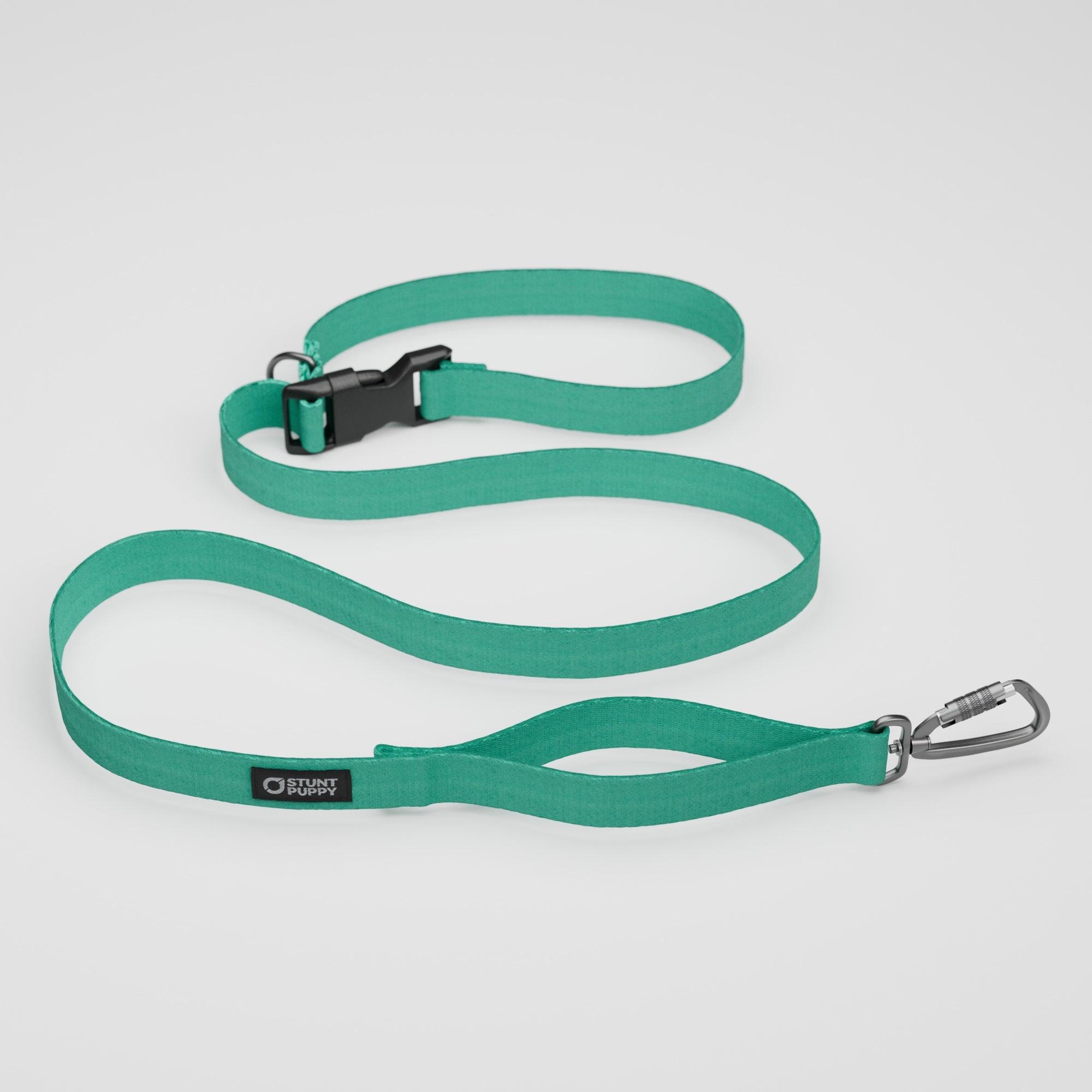 Stunt Puppy Monochrome Everyday Dog Leash, Lagoon